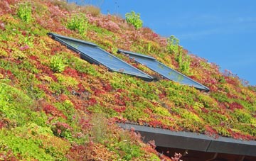 Trefnanney living roof systems
