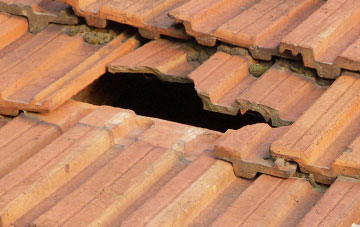 roof repair Trefnanney, Powys