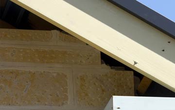 soffit repair Trefnanney